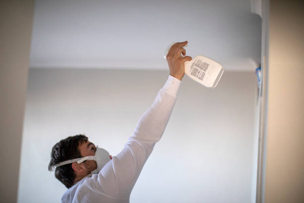 Crawl Space Mold Removal in Three Rivers, TX