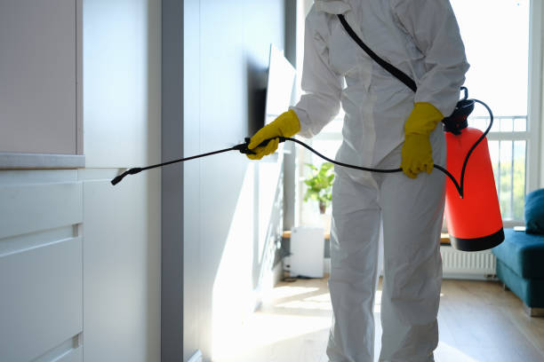 Best Crawl Space Mold Removal  in Three Rivers, TX