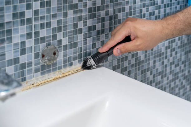 Office Mold Removal Services in Three Rivers, TX