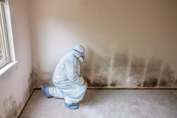 Best Residential Mold Removal  in Three Rivers, TX