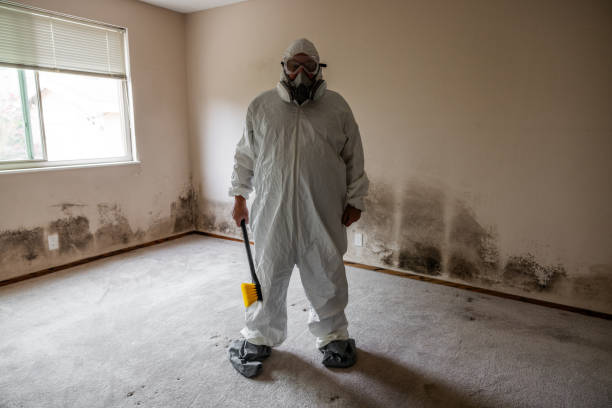 Home Mold Removal in Three Rivers, TX